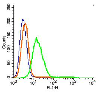 GPR55 Rabbit Polyclonal Antibody