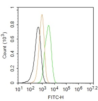 Fibronectin/Ugl-Y3 Rabbit Polyclonal Antibody (FITC)