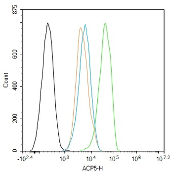 ACP5 Rabbit Polyclonal Antibody