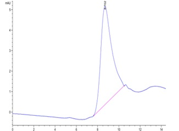 Recombinant human Angiopoietin-2 protein, N-His-Avi (HEK293), Biotin conjugated