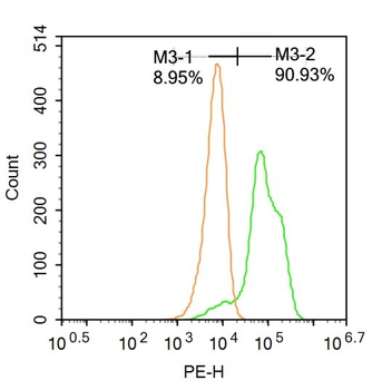 RGC32/C13orf15 Rabbit Polyclonal Antibody