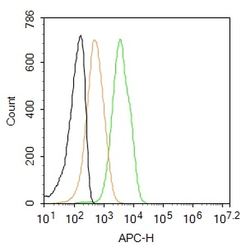 FXR2 Rabbit Polyclonal Antibody (BF647)