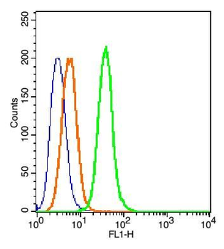 E1 Ubiquitin Activating Enzyme Rabbit Polyclonal Antibody (BF488)