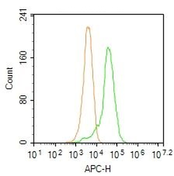 RIPK1 Rabbit Polyclonal Antibody (BF647)