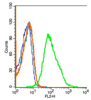 RNF74 Rabbit Polyclonal Antibody