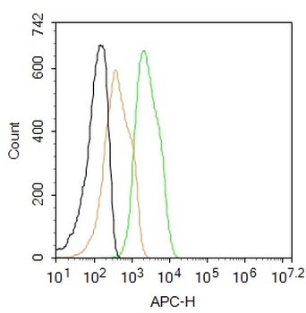METTL3 Rabbit Polyclonal Antibody (BF647)