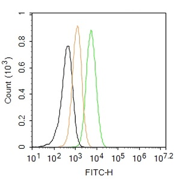CD68 Rabbit Polyclonal Antibody (BF488)