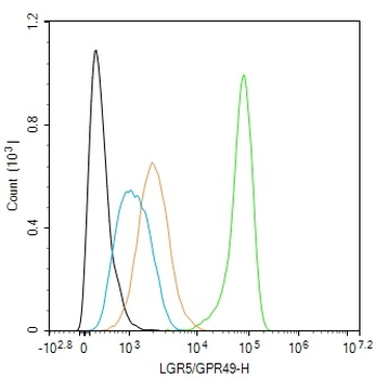 LGR5/GPR49 Recombinant Rabbit Monoclonal Antibody