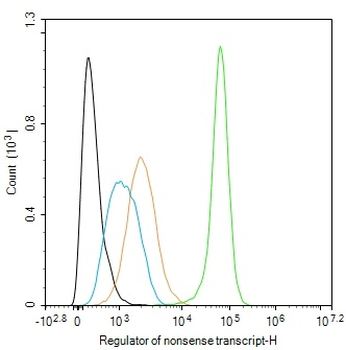 HUPF1 Recombinant Rabbit Monoclonal Antibody