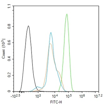 CHGA Rabbit Polyclonal Antibody