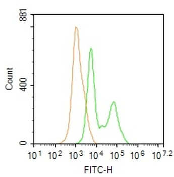ADA2 Rabbit Polyclonal Antibody