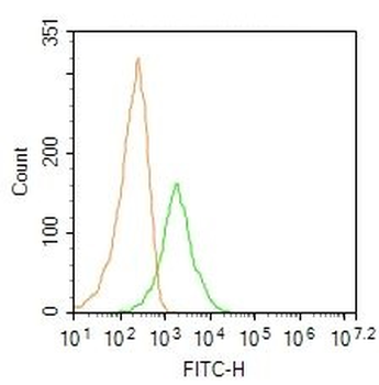 TRPM4 Rabbit Polyclonal Antibody