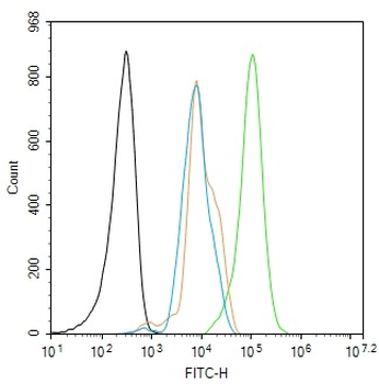 TET1 Rabbit Polyclonal Antibody
