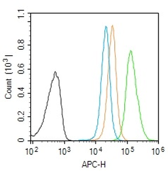 FBXL5 Rabbit Polyclonal Antibody