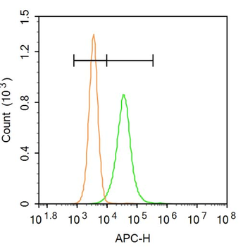 CD83 Rabbit Polyclonal Antibody
