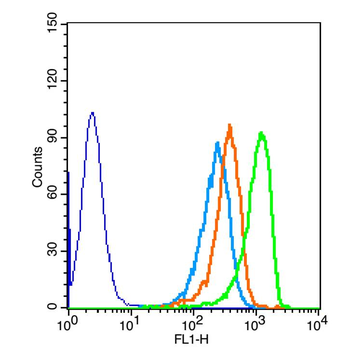 DOK5 Rabbit Polyclonal Antibody