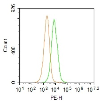 Metallothionein 3 Rabbit Polyclonal Antibody
