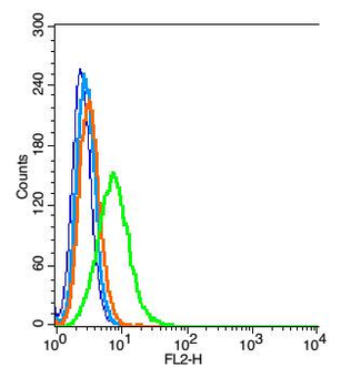 CDH18 Rabbit Polyclonal Antibody