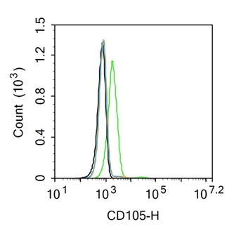 CD105 Rabbit Polyclonal Antibody