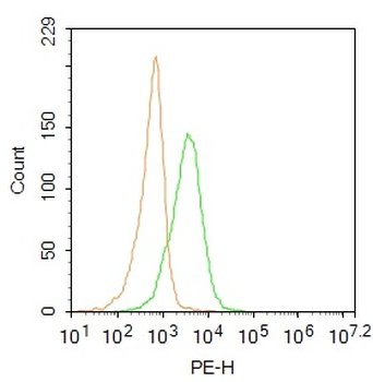 CD45 Rabbit Polyclonal Antibody