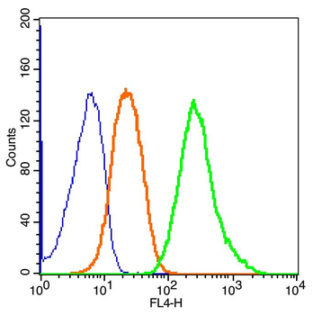 Ganglioside GM1 Rabbit Polyclonal Antibody
