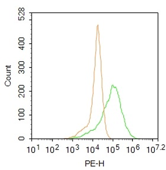 Phospho-HSF1 (Ser326) Rabbit Polyclonal Antibody