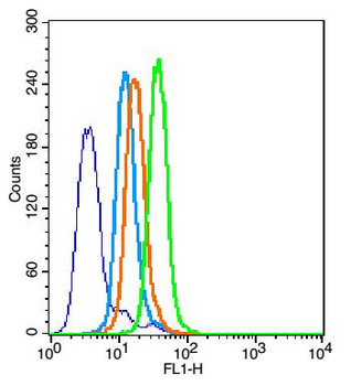 NFKB p65 Rabbit Polyclonal Antibody