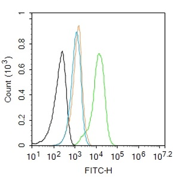 Phospho-PKM2 (Tyr148) Rabbit Polyclonal Antibody