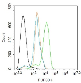 PUF60 Rabbit Polyclonal Antibody