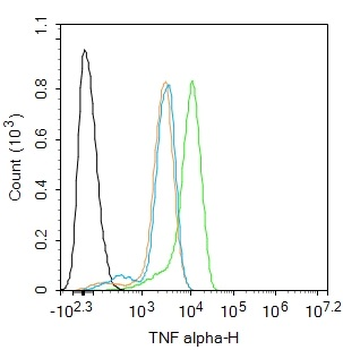 TNF alpha Rabbit Polyclonal Antibody