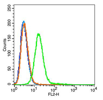 CD68 Rabbit Polyclonal Antibody