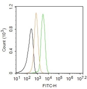 Caspase-1 p20 Rabbit Polyclonal Antibody (FITC)