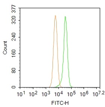 RNF61/MKRN1 Rabbit Polyclonal Antibody (FITC)