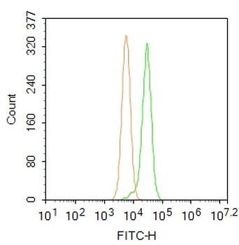 MUL1 Rabbit Polyclonal Antibody (FITC)