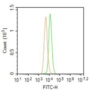 MUL1 Rabbit Polyclonal Antibody (FITC)