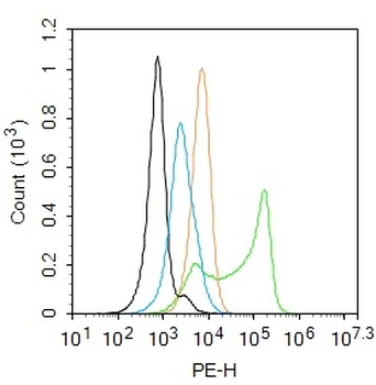 AHR Rabbit Polyclonal Antibody