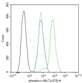 Phospho-c-Abl (Tyr276) Rabbit Polyclonal Antibody