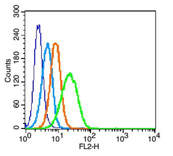ADAM17 Rabbit Polyclonal Antibody
