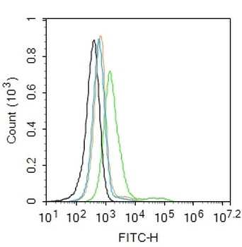 ADAM8 Rabbit Polyclonal Antibody