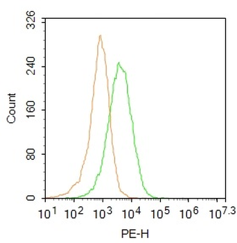 SLC29A4 Rabbit Polyclonal Antibody