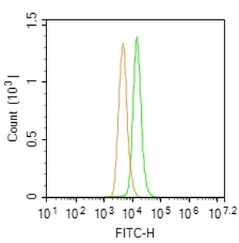 SGPL1 Rabbit Polyclonal Antibody