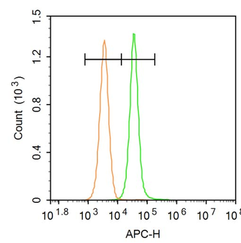 Adipose Triglyceride Lipase Rabbit Polyclonal Antibody