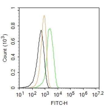 CD163 Rabbit Polyclonal Antibody (FITC)