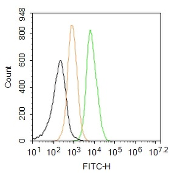 GPR49 Rabbit Polyclonal Antibody (FITC)