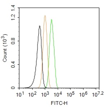GPR49 Rabbit Polyclonal Antibody (FITC)