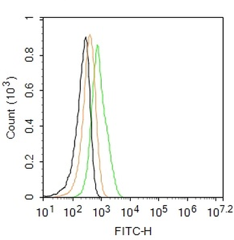GPR49 Rabbit Polyclonal Antibody (FITC)