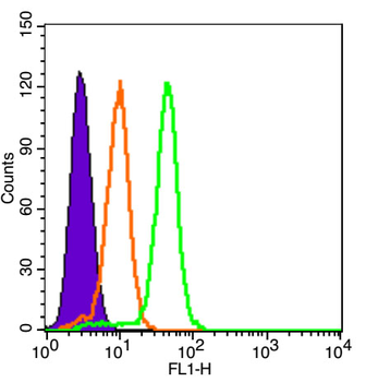 Beta galactosidase Rabbit Polyclonal Antibody (FITC)