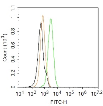 TLR4 Rabbit Polyclonal Antibody (FITC)