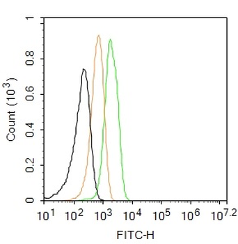 TLR4 Rabbit Polyclonal Antibody (FITC)