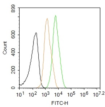 EGFR Mouse Monoclonal Antibody (FITC)